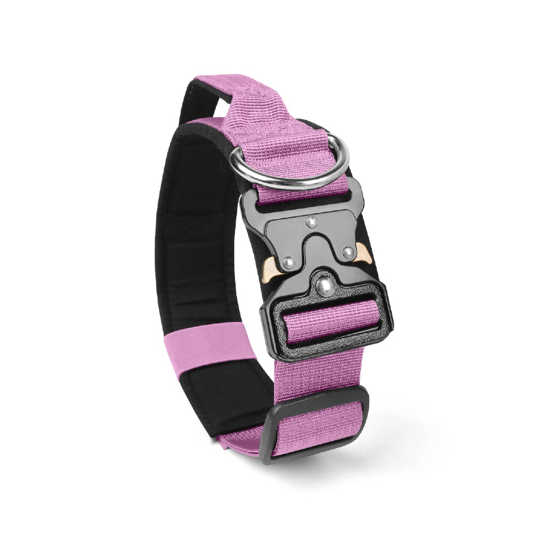 Lanvender Purple