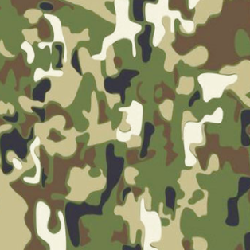 Camouflage