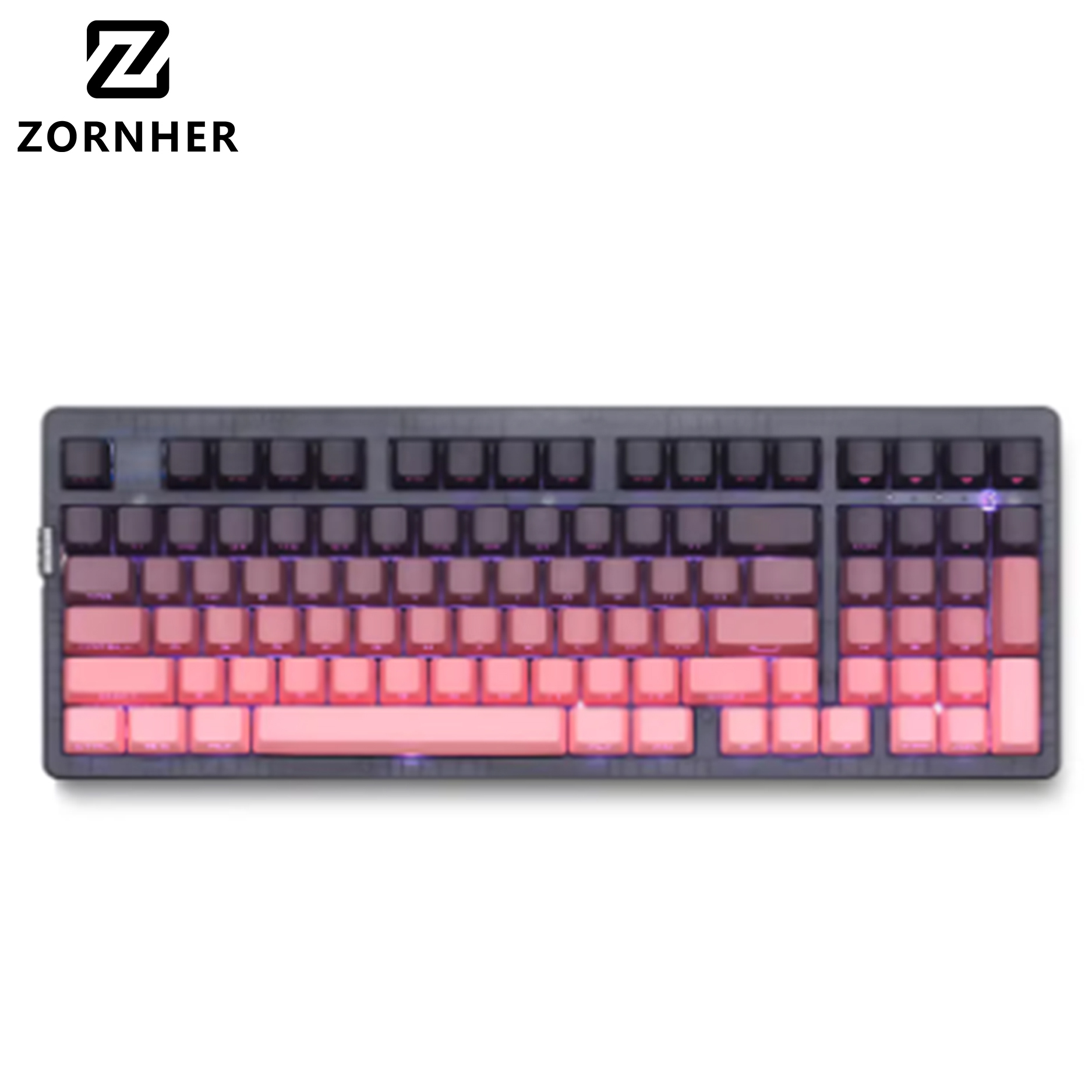 ZH980 Mûre noire