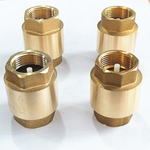 1/2"-4" PN20 Standard One Way <strong>Water</strong> <strong>Pump</strong> Mini Vertical type female threaded dn25 pn16 plastic or Brass Spring <strong>Check</strong> <strong>Valve</strong>