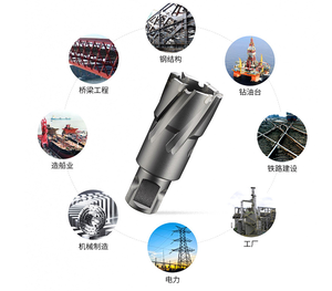 بيع إلى العالم بسعر مخصص بالجملة ، أفضل مجموعة قطع أنوية TCT cannular Cutter Core - Product Image 2