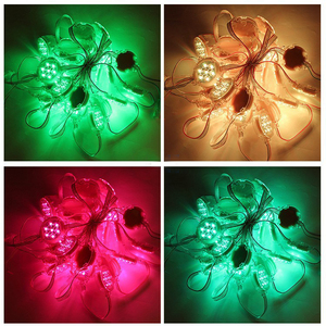 3cm 12V <strong>LED</strong> Point Light Source Outdoor Horse Racing Monochrome Full <strong>Color</strong> Door Head Sign Light Advertising Signs <strong>Pixel</strong> <strong>Led</strong> - Product Image 6