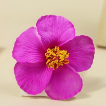 สีม่วง