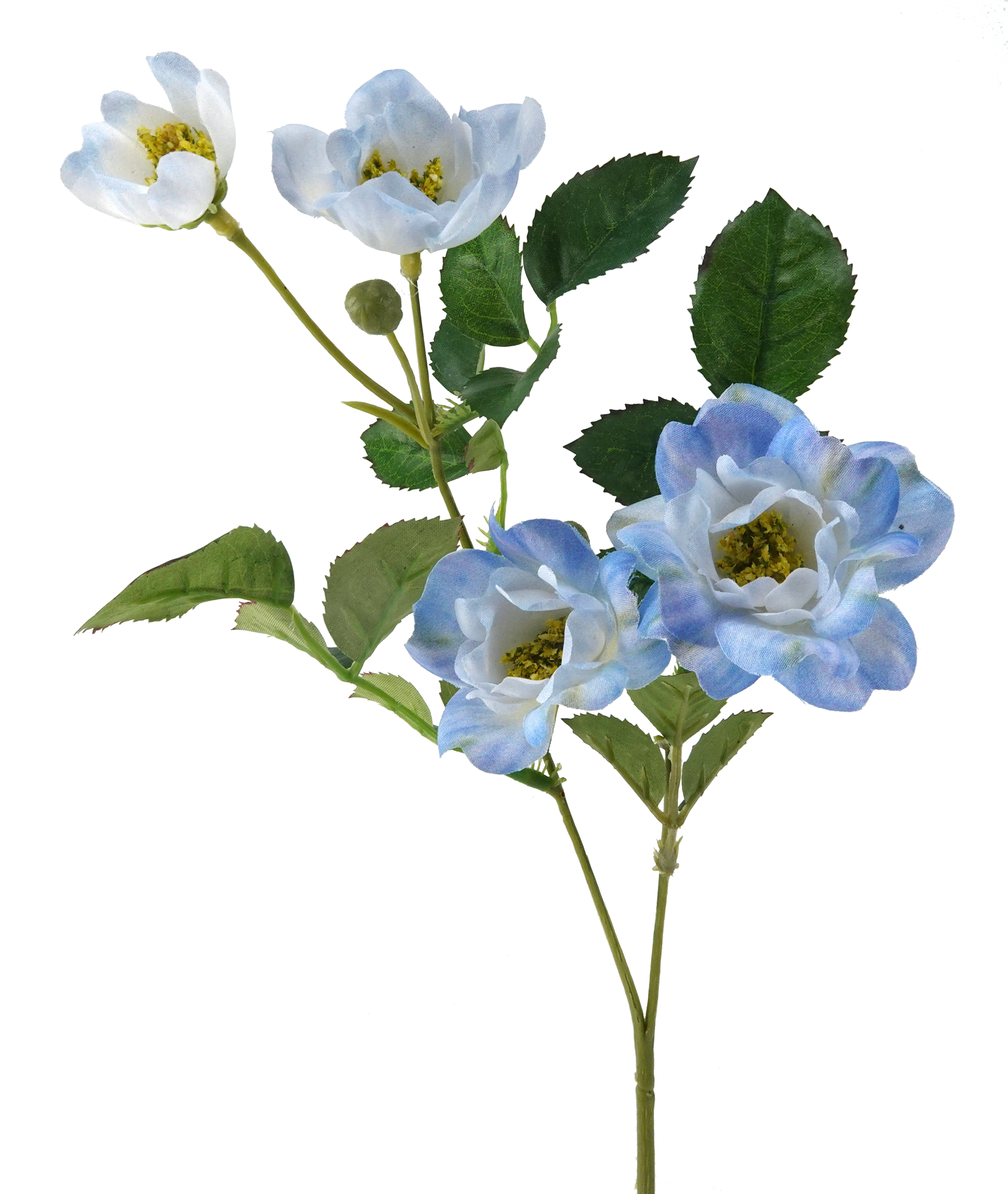 Dos tonos Skyblue