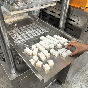 Fabriek Leveren Bruine Suiker Maken Machine Suiker Kubus Vormen Machine Verstelbare Vorm En Patroon Baking Soda Blokjes Machine - Product Image 4