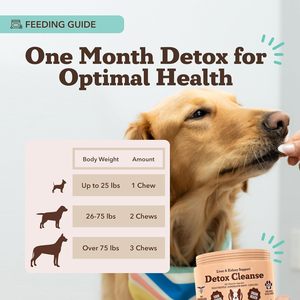 Supplément de foie naturel chiens même désintoxication et aide à la santé hépatique vétérinaire recommandé formule professionnelle soins de santé pour animaux de compagnie et supplément - Product Image 5