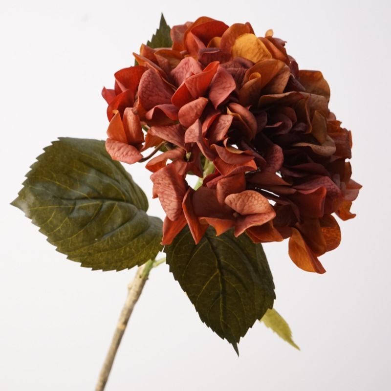 Feel autumn hydrangea-light brown red