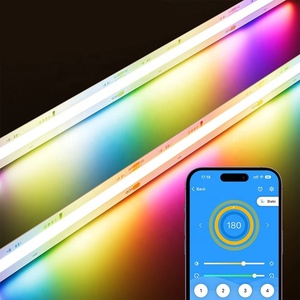 แอดเดรสโปรแกรมได้ 12 24 โวลต์ดิจิตอล RGB IC ไฟ LED Strip สําหรับเพดานผนัง RGBIC สีฝัน Flex COB Strip