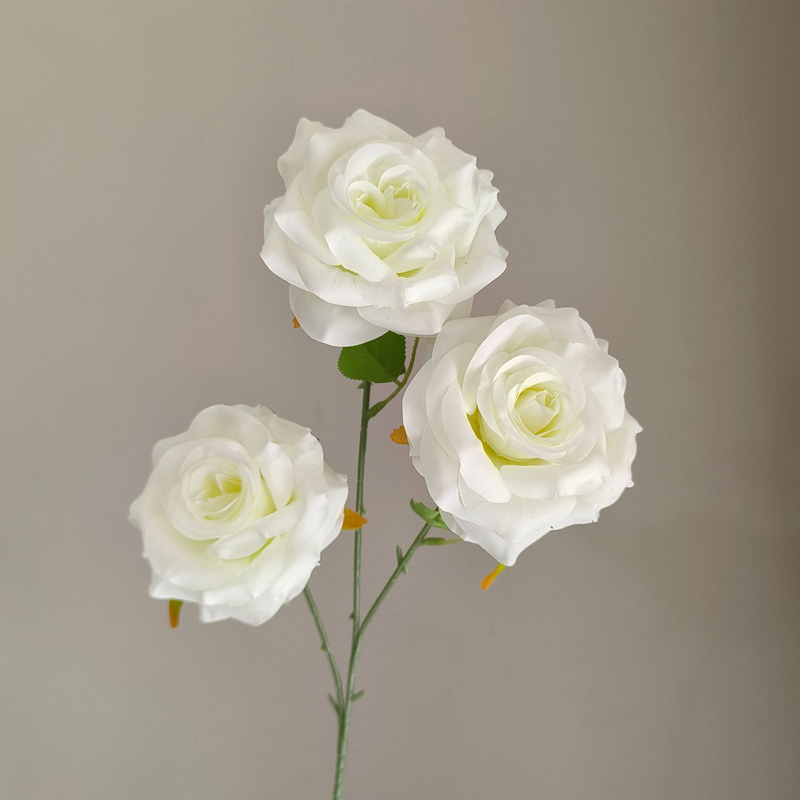 Cream