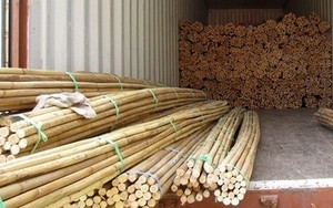 制造商的固体竹竿农业使用