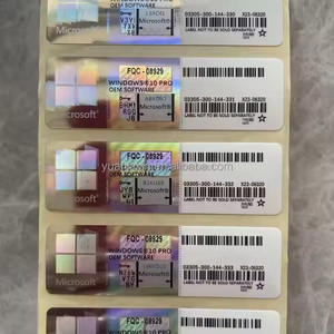 Win 10 Pro/home OEM Key Silver Sticker COA Label Versión de Internet Sistema operativo con 12 meses de garantía DHL o FEDEX - Product Image 4