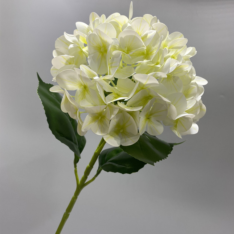 80cm single head hydrangea white green