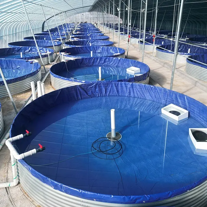 Factory customized Fish and shrimp and a crab RAS Tilapia farming fisheries aquaculture system equipment farming tanks