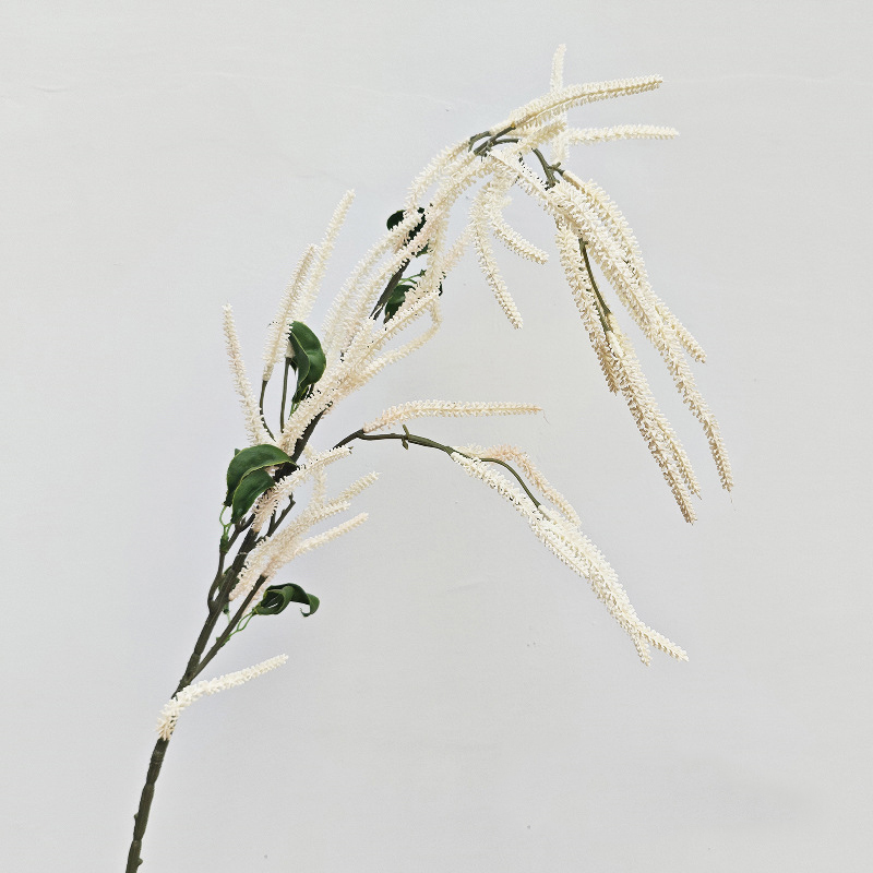 Bianco 4