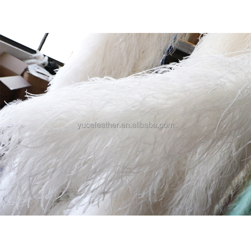 10ply White