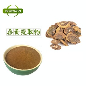 食品グレードのSang-Hwangキノコ抽出物免疫強化Phellinus Igniariusを粉末状でドラムにパッケージ化 - Product Image 1