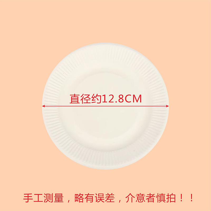 5-inch paper plate (approximately 13cm in diameter)