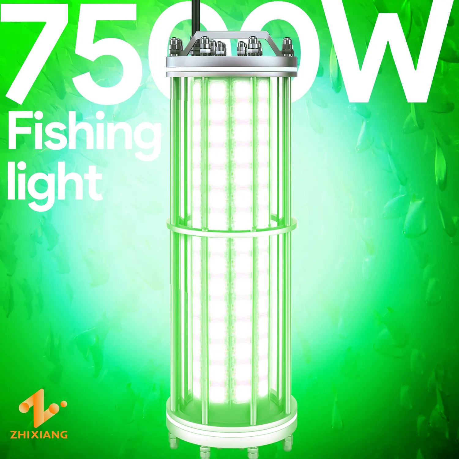 Lampe de pêche sous-marine étanche IP68, vente en gros