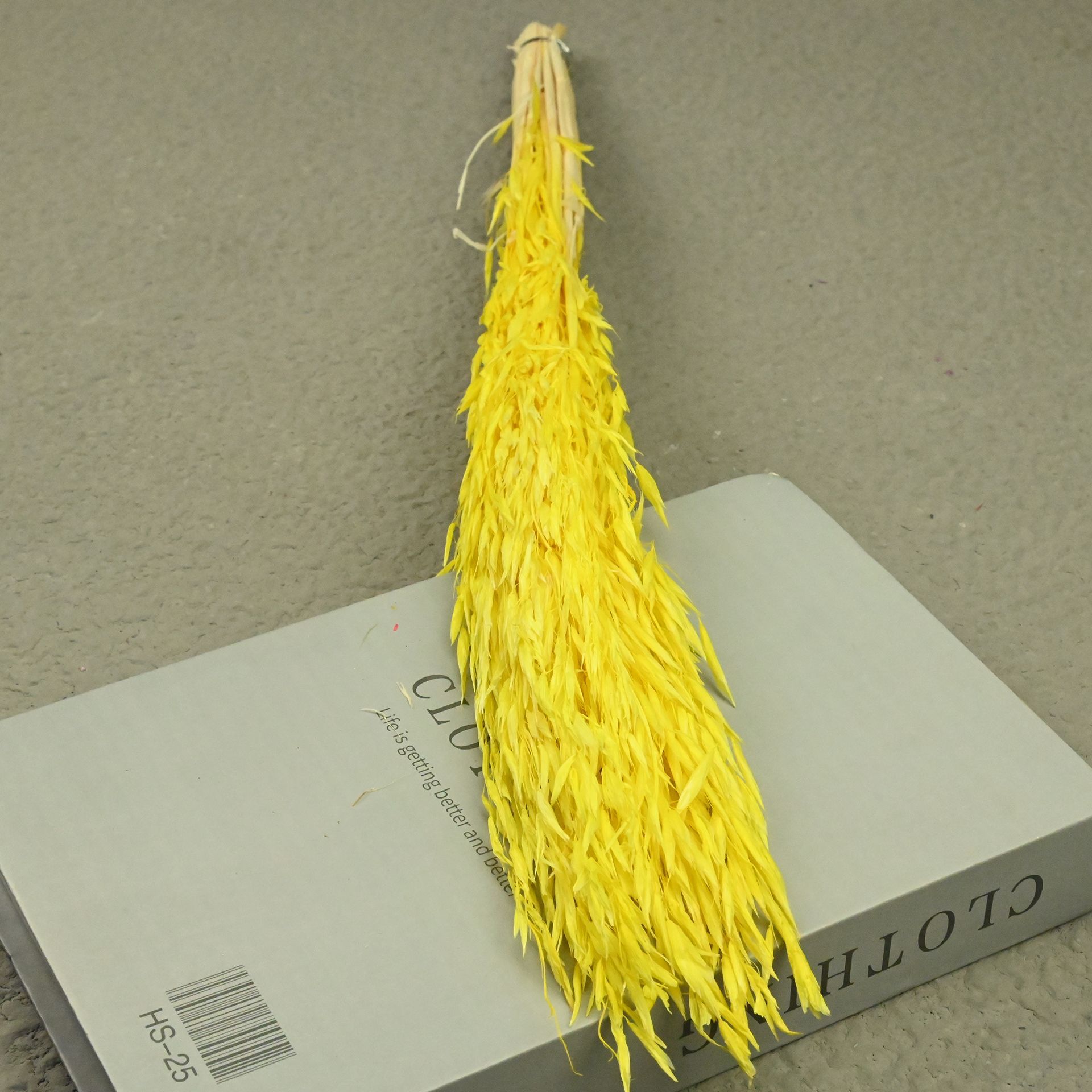 Oat yellow