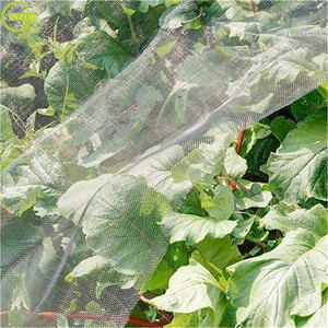 Customized Anti-Insect Fly <strong>Bug</strong> <strong>Net</strong> for Plants - Product Image 6