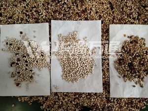 Ethiopia Coffee Bean Cleaning <strong>Machine</strong> with CCD <strong>Sensor</strong> <strong>Color</strong> <strong>Sorting</strong> and Pulses Bean Sorter Featuring Core Pump Component - Product Image 5