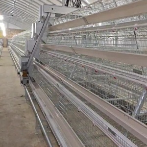 优质热镀锌a型农场家禽电池笼，用于蛋鸡用马达，用于蛋鸡的外壳