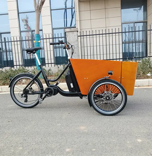 Đu Cân Bằng Điện Nghiêng Hệ Thống Phiên Bản Hàng Hóa Xe Đạp 3 Ba Bánh Xe Ba Bánh Hàng Hóa Ebike Hàng Hóa Con Chó Ebike Điện Xe Ba Bánh