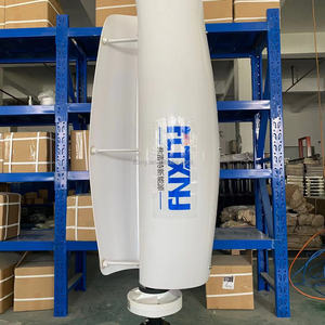 Popüler lale dikey rüzgar jeneratörü 1kw rüzgar jeneratörü alternatif enerji rüzgar türbini ev için - Product Image 1