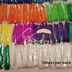 Wholesale 100pcs Per Pack 35-40cm Rooster Tails <strong>Feather</strong> Coque <strong>Feather</strong> For Carnival Festival Holiday Costume Decorations - Product Image 6