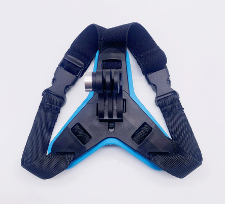 Blue Buckle Version