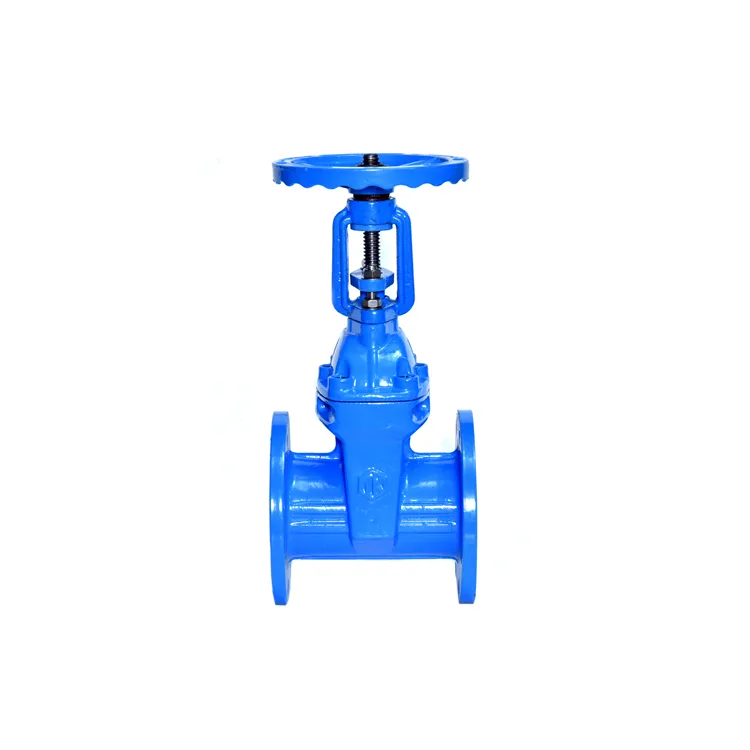 China Fabricante Dn80 Barato Ferro Fundido Aço Fundido Resiliente Assentado Rising Stem Gate Valve