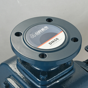 5.3HP BZ ปั๊ม self-priming 25m ³/H การไหลขนาดใหญ่ปั๊มท่อแนวนอนหัวสูง380V ปั๊มแรงเหวี่ยงไหลเวียน - Product Image 5