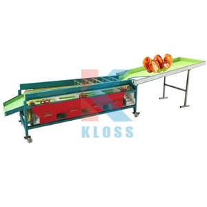 Hot Sale Durable Apple Fruit <strong>Sorting</strong> <strong>Machine</strong> / Macadamia Nuts <strong>Sorting</strong> <strong>Machine</strong> / Lemons <strong>Sorting</strong> <strong>Machine</strong> - Product Image 4