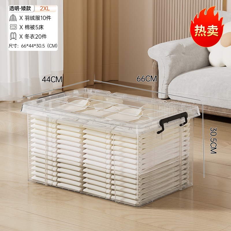 2XL Short - Transparent
