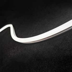 Flexible and Colorful <strong>Led</strong> Neon Light Size 10*10 <strong>mm</strong> with 120 <strong>Leds</strong> Applied in Outdoor Lighting - Product Image 6