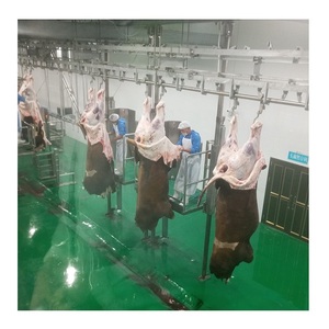 Kuhochtschalen Schienenwaage für Rinderschlachthaus Karkassenwaage - Product Image 5