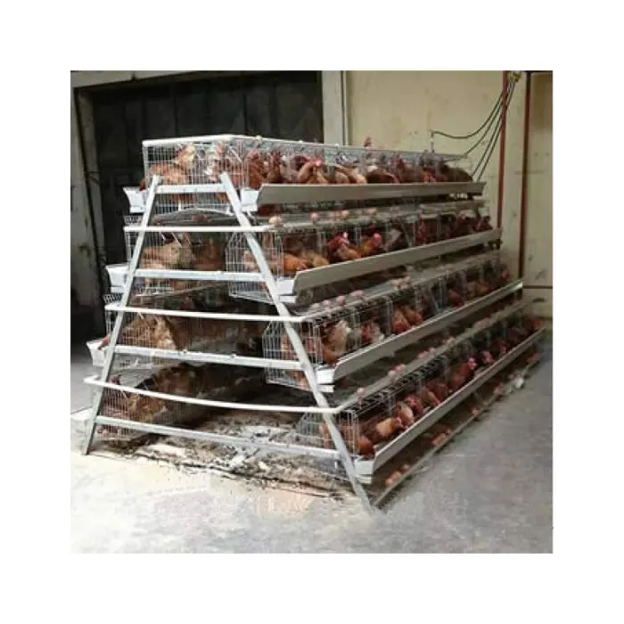 design poultry farm equipments be used to chicken house