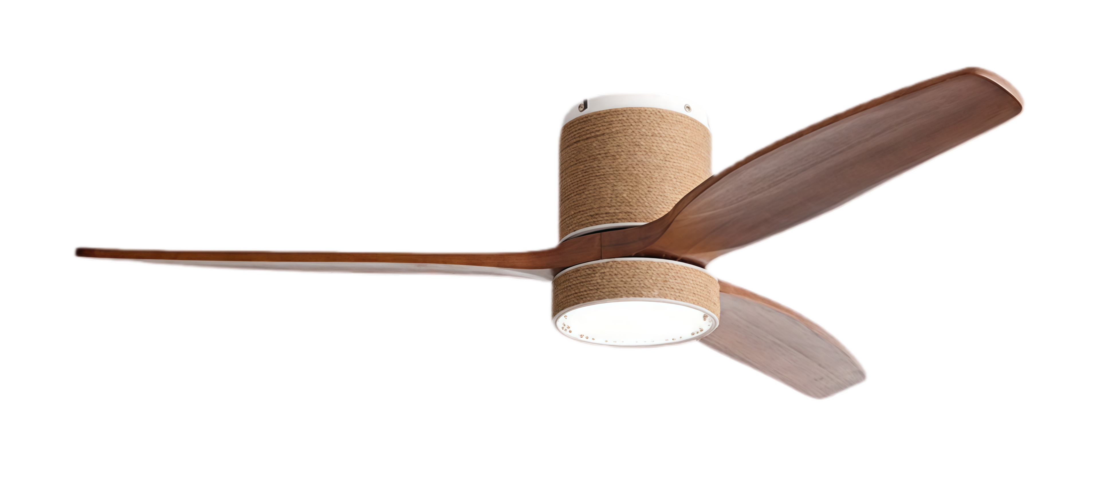 ไม้วอลนัทขาว