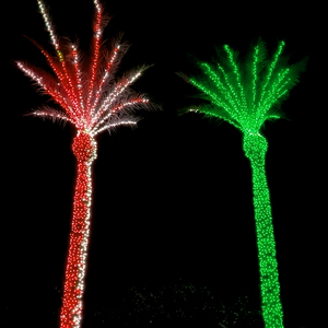 マトリックスプログラムクリスマス屋外ランドスケープデコレーションハロウィンIP67 LED RGBピクセルWS2811ストリングPVCココナッツパームツリーライト - Product Image 1