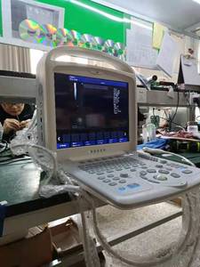 רפואי וטרינרי echographhe ecografo צבע דופלר עם בדיקה