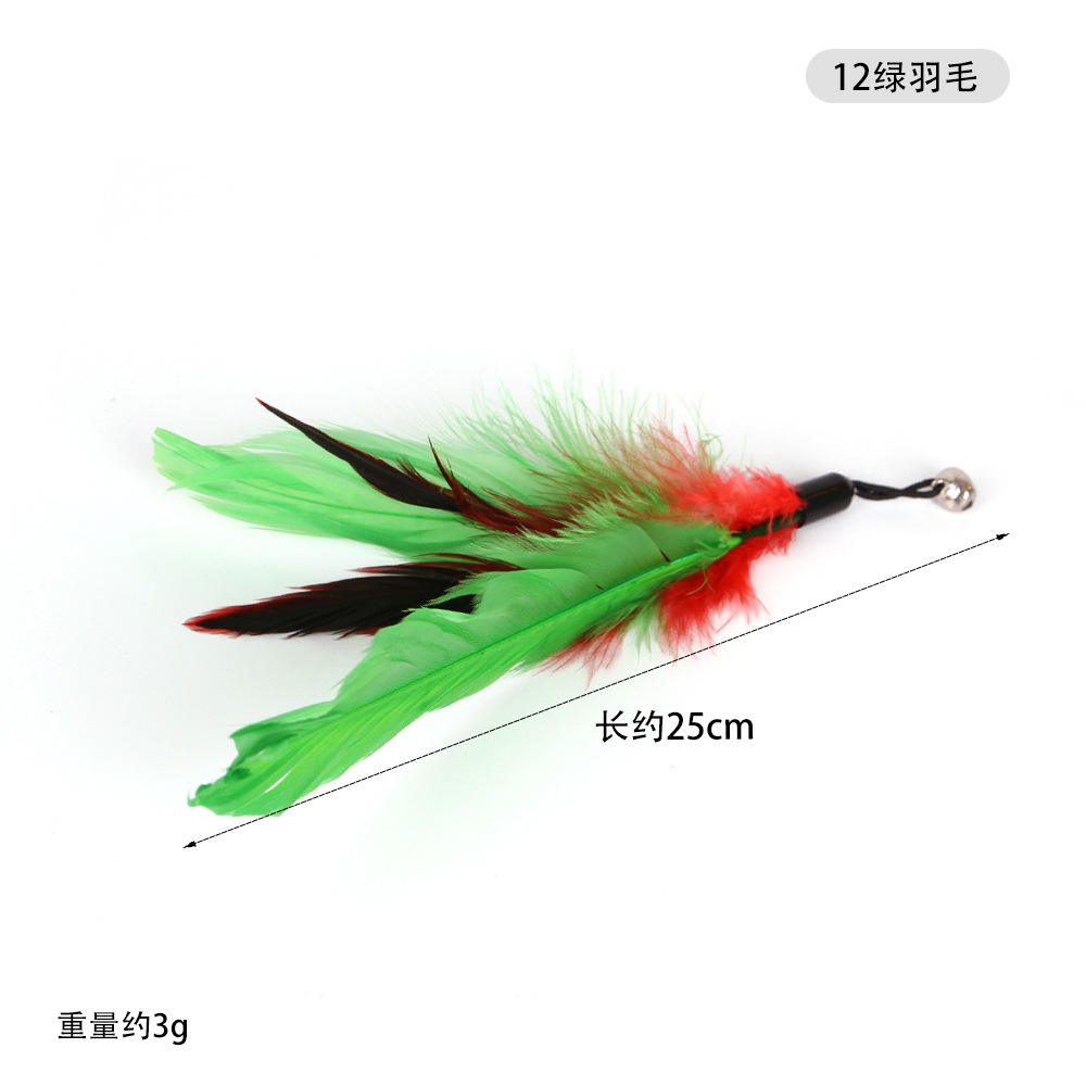 B15303-12 plume verte