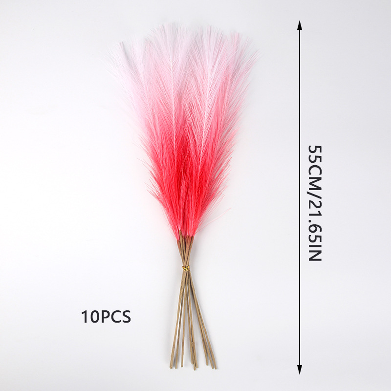 Herbe de pampas rouge et blanche 10pcs