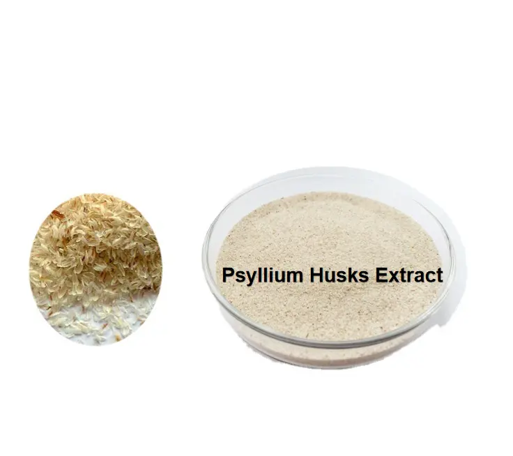 Atacado Alta Qualidade Psyllium Husk 98% Fibra dietética Psyllium Husk Powder