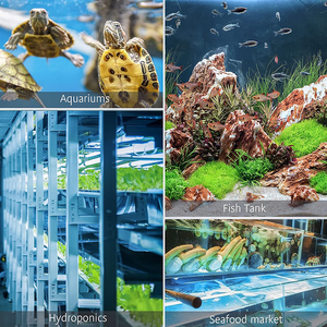 Pasokan Langsung dari Pabrik Batu Udara Akuarium dengan Cangkang untuk Peternakan Udang - Product Image 5