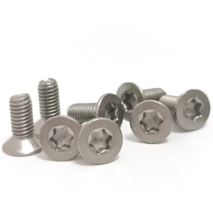 高品质Iso14581机械螺杆Gr2钛Torx螺杆m3 m4 m5 m6钛螺杆 - Product Image 4