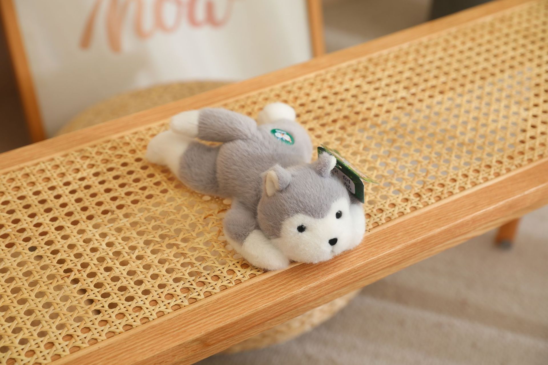 Husky gris