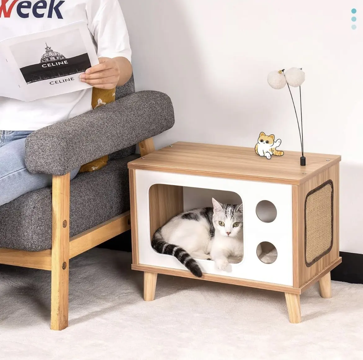 Produttore personalizzato arredamento per la casa di lusso 2024 robusto eco-friendly legno Cat House per gli animali al coperto