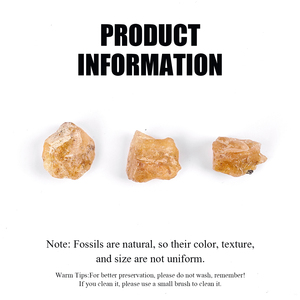Paleobiyoloji araştırma için otantik Copal reçine kristal Subfossil Feng Shui tarzı laboratuar malzemeleri - Product Image 3