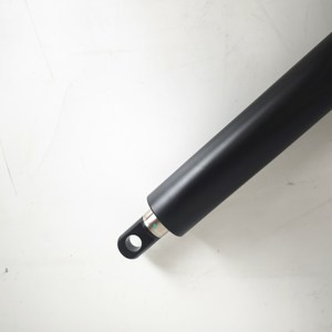 Tuyến tính thiết bị truyền động ip69 Thiết bị truyền động tuyến tính ổ đĩa <span class=keywords><strong>Nut</strong></span> tuyến tính khí nén thiết bị truyền động - Product Image 3