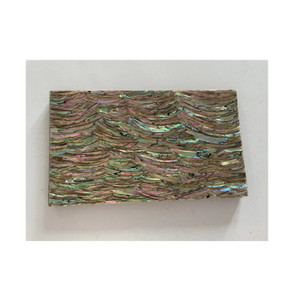 Real New Zealand Abalone Shell Sheet <strong>Paua</strong> Shell Sheet Mother of Pearl Paper Sheets for Art Craft Furniture <strong>Inlay</strong> - Product Image 3